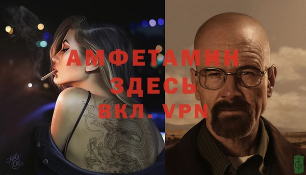 индика Осташков
