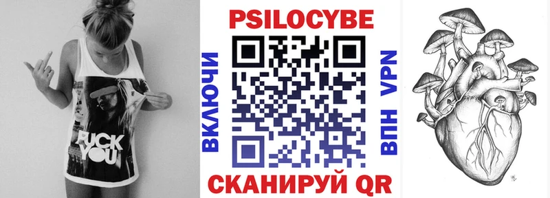 Галлюциногенные грибы Cubensis  Кудымкар 